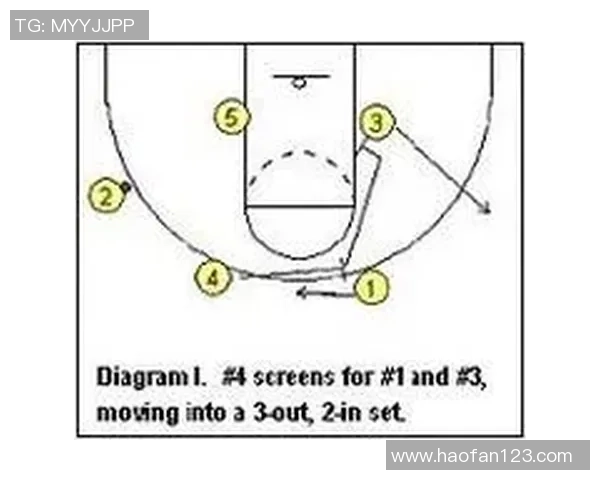 深圳排球队快攻战术解析与实战应用探讨