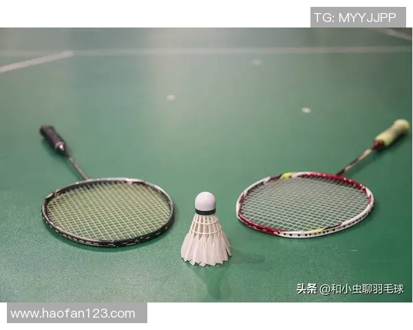 羽毛球新手必看：从力量训练到技巧提升的全面入门指南