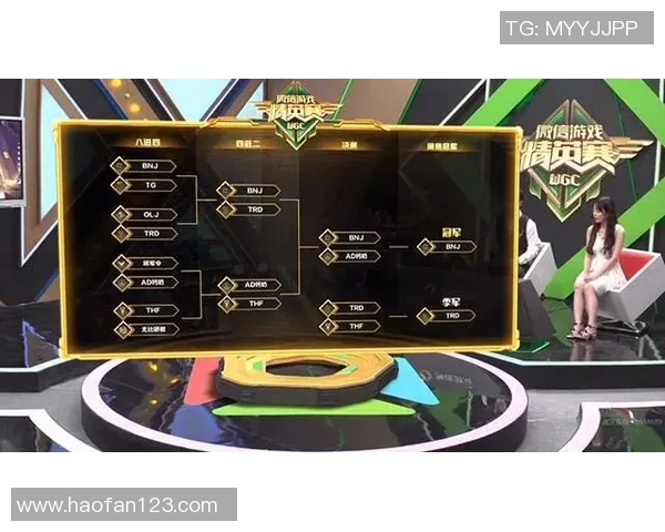 王者荣耀深度解析：WE战队意识与团队协作的成功之道